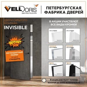 Read more about the article VellDoris Invisible